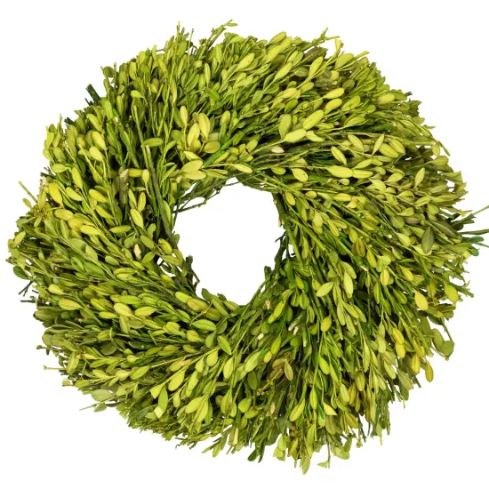 Northlight Green Foliage Artificial Spring Wreath - 11" - Unlit {1}