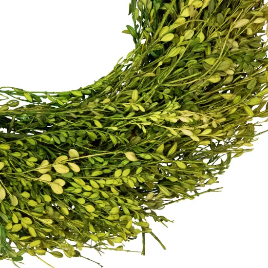 Northlight Green Foliage Artificial Spring Wreath - 20' - Unlit {5}