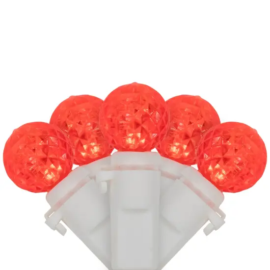 Northlight LED G12 Berry Christmas Lights - Red - 16' White Wire - 50 ct {1}