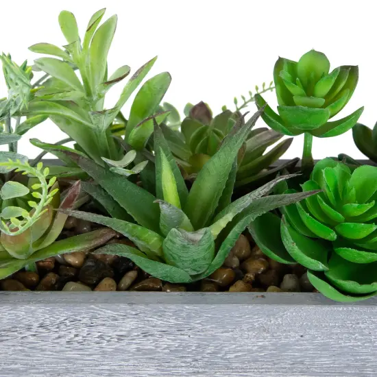 Northlight Artificial Mixed Succulent Plants in a Rectangular Planter - 12" Green {7}