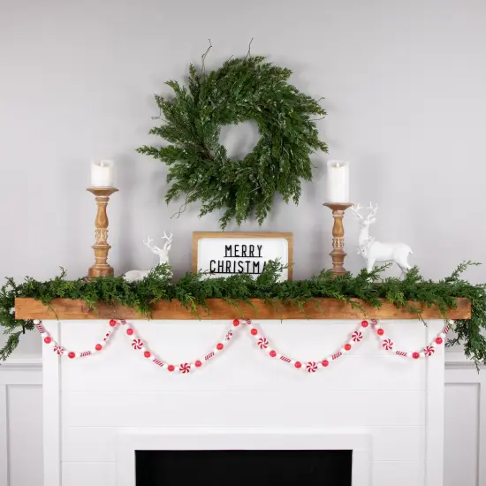 Northlight 6' Red and White Beaded Peppermint Candy Christmas Garland Unlit {6}