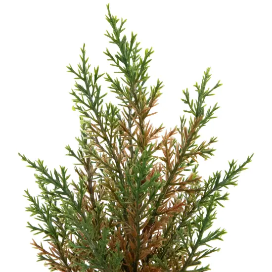 Northlight Mini Cedar Artificial Christmas Trees - 10" - Set of 3 Red {5}