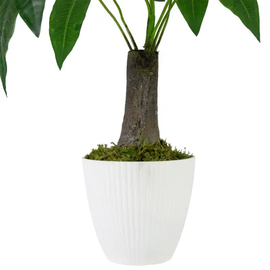 Northlight Artificial Money Tree Plant in Textured Lined Pot - 18.5" Green {5}