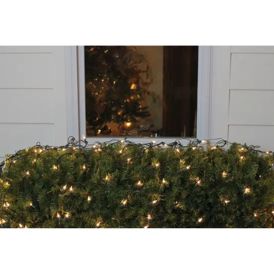 Northlight Mini Net Style Incandescent Christmas Lights - 4' x 6' - Clear - Green Wire {3}
