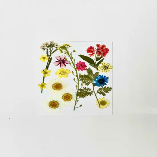 Makerflo UV Resin Complete Starter Kit for Beginners | UV Resin for Ornaments, Keychains, Jewellery, Home Decor {2}