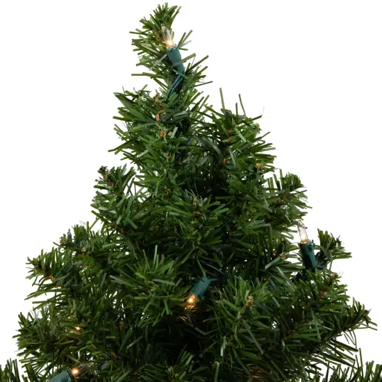 Northlight Pre-Lit Medium Canadian Pine Artificial Christmas Tree - 18" - Clear Lights Green {7}