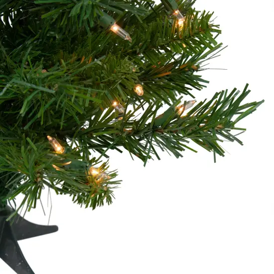 Northlight Pre-Lit Medium Royal Pine Artificial Christmas Tree - 2' - Clear Lights Green {6}