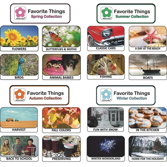 Favorite Things Seasons DVD Set (Set of 4) {4}