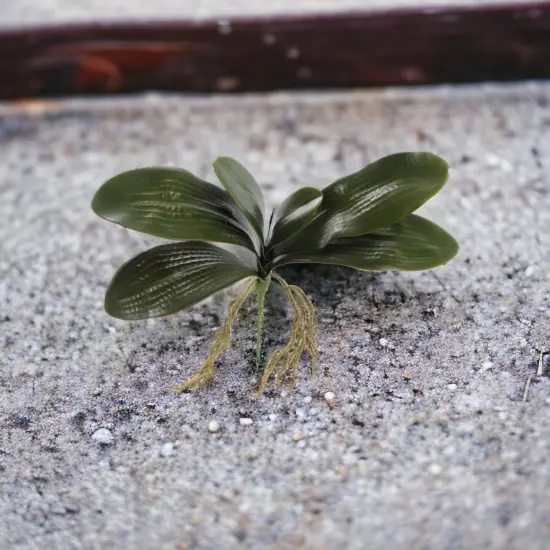 12-Pack: 16" Phalaenopsis Orchid Foliage Cluster Pick , Floral Home by Artificial Flowers {3}