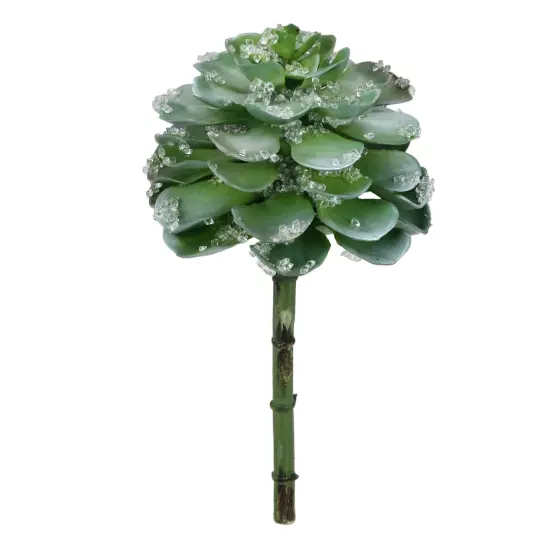 Allstate Frosted Echeveria Succulent Artificial Christmas Pick - 10" - Green {3}