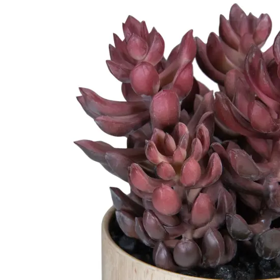Northlight 7" Purple Artificial Succulent in Faux Wood Pot {5}
