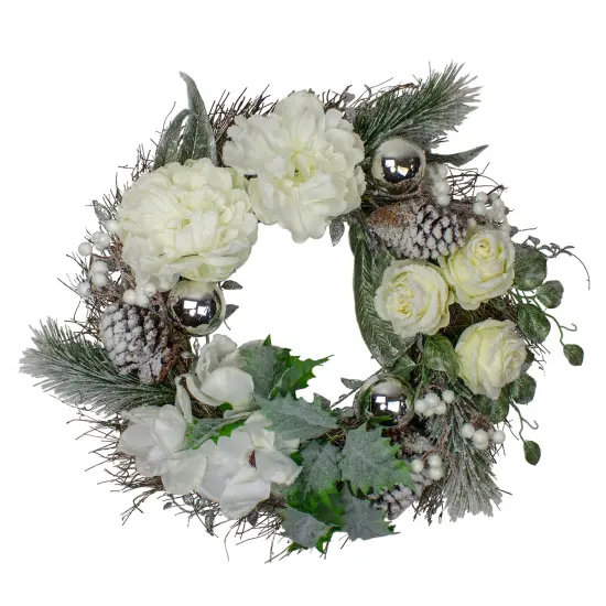 Northlight Floral Flocked Pine Artificial Grapevine Christmas Wreath - 24" - Unlit White {1}