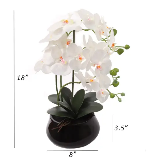15-Inch Phalaenopsis Orchid - Elegant White Blooms, Home Decor, Perfect for Tabletops & Gifts - All-Season Elegance, Floral Home by Artificial Flowers {2}
