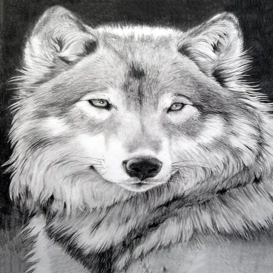 Grey Wolf WD086 10.6 x 14.9 inches Wizardi Diamond Painting Kit {2}