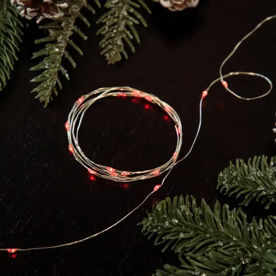 Northlight Micro Fairy Christmas Lights - Red LED - 16' Copper Wire - 50ct {1}