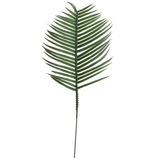 Set of 5: Plastic Green Cycus Pick | 6-Inch | Plastic Greens | Greenery Picks | Party & Event | Home & Office Decor, Floral Home by Artificial Flowers {1}