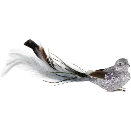 Northlight Glitter Bird with Clip and Feather Tail Christmas Ornament - 8" - Silver {1}