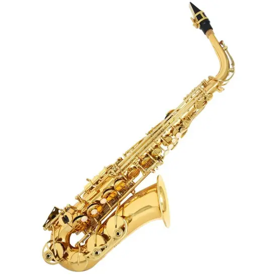 LyxJam Alto Saxophone, E Flat Brass Alto Sax Beginners Kit Antique Bronze {8}