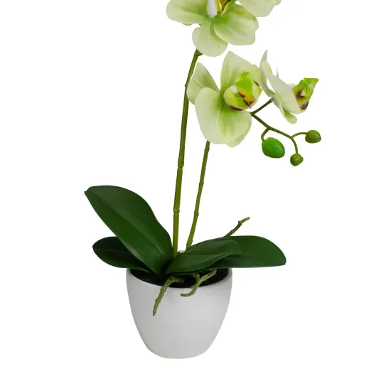 Northlight Real Touch&trade;️ Artificial Orchid Potted Plant - 14" - White and Green {6}