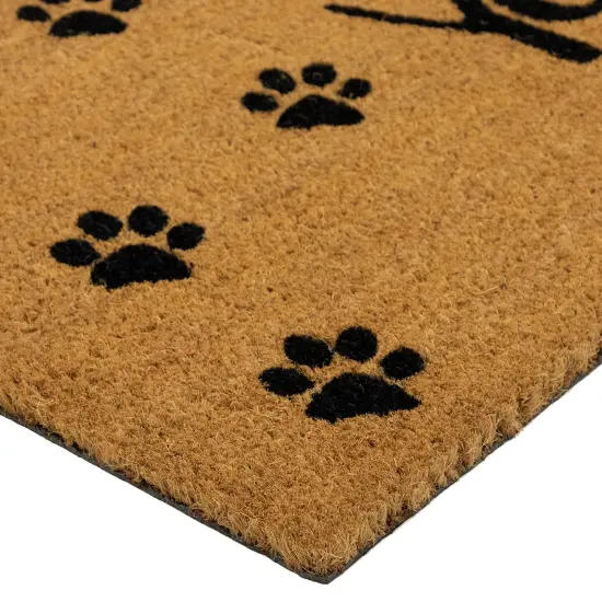 Northlight Natural Coir "Wipe Your Paws" Outdoor Doormat 18" x 30" Brown {6}