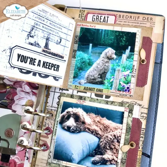 Elizabeth Craft Metal Dies-Tab 6 with turnbutton frame {2}