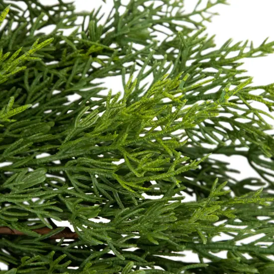 Northlight Real Touch&trade;️ Cedar Artificial Christmas Wreath with Pinecones - 24" - Unlit Green {7}