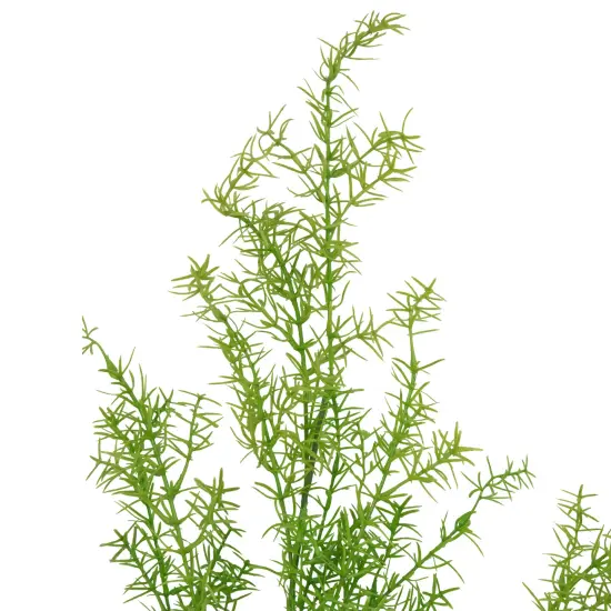 Allstate Soft Sprengeri Artificial Hanging Spray - 26" - Green {4}