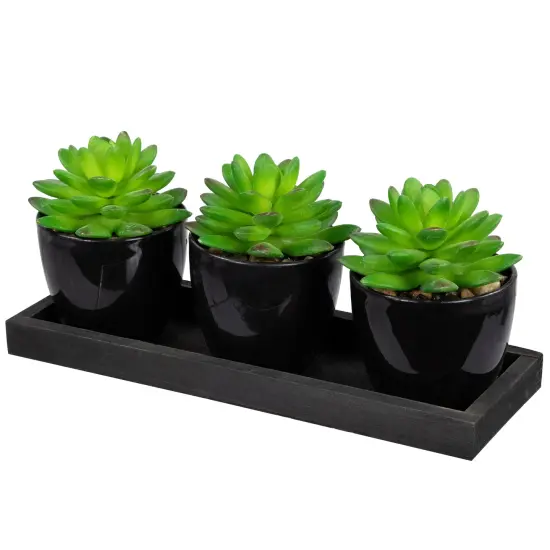 Northlight Mini Artificial Potted Succulents with Wood Planter - 5" - Set of 3 Black {4}