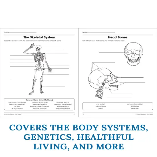 Carson Dellosa The 100 Series Human Body Biology Workbook, Science Book for Grades 5-8 Covering Anatomy and Nutrition, Classroom or Homeschool Curriculum {4}