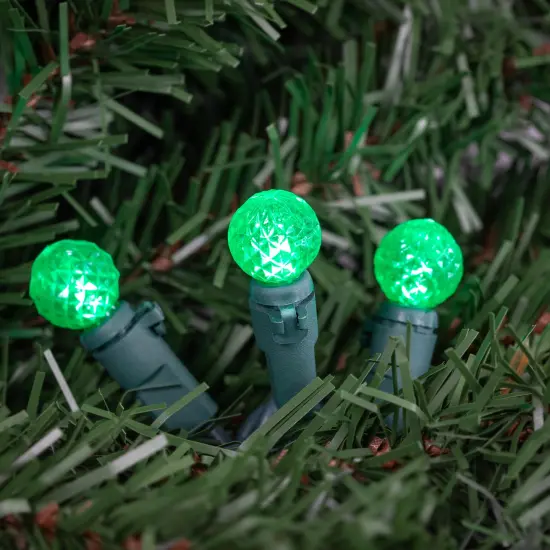 Northlight LED G12 Berry Christmas Lights - Green - 16' Green Wire - 50 ct {3}