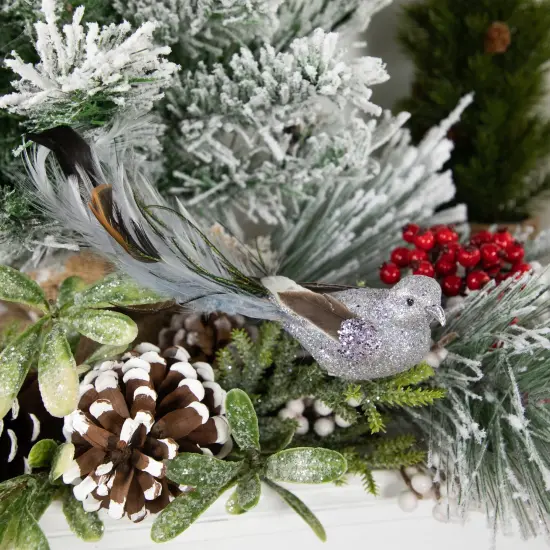 Northlight Glitter Bird with Clip and Feather Tail Christmas Ornament - 8" - Silver {3}
