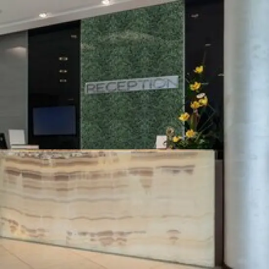 Artificial Green Boxwood Square Panel Mats, 20"X20", Box of 12, Indoor/Outdoor Use, DIY Privacy Panels, Photo Backdrop, Parties & Events, Home & Office Decor, Floral Home by Artificial Flowers {4}