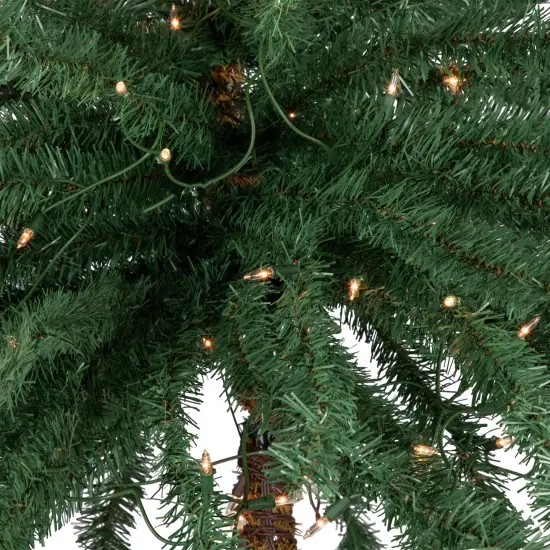 Northlight 6' Pre-Lit Artificial Tropical Outdoor Patio Palm Tree - Clear Lights Green {4}