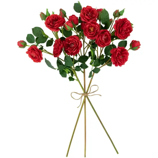 Northlight Real Touch&trade; Red Artificial Camellia Rose Floral Sprays, Set of 6 - 23" {6}