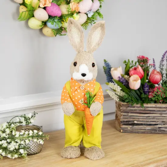 Northlight Standing Boy Rabbit with Carrot Easter Figure - 16" - Orange and Green Beige {3}