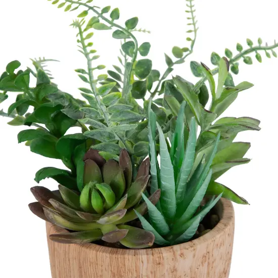 Northlight Potted Artificial Mixed Succulents and Fern Arrangement - 12" Brown {7}