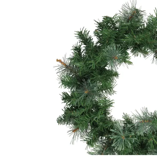 Northlight Mixed Cashmere Pine Artificial Christmas Wreath - 24" - Unlit Green {4}