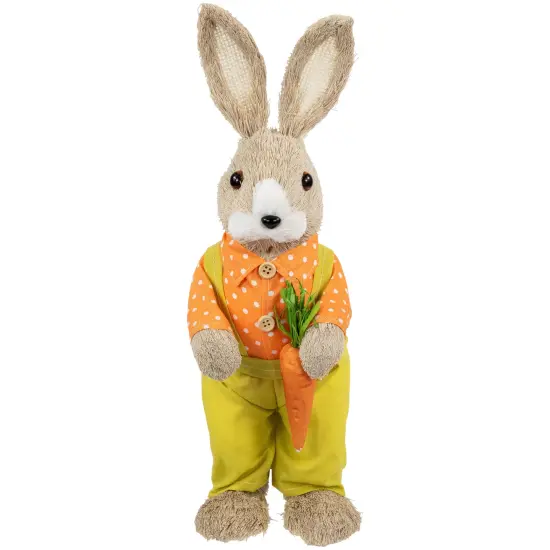 Northlight Standing Boy Rabbit with Carrot Easter Figure - 16" - Orange and Green Beige {1}