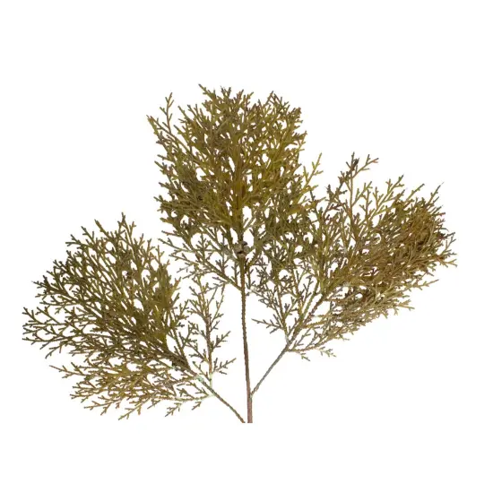 Melrose 30.5" Green Cedar Branches and Cones Artificial Spray {4}