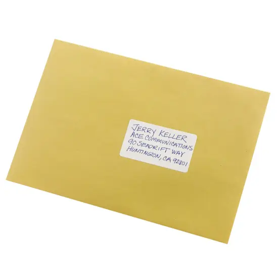 Avery Multi-Use Permanent Labels, 1.5" x 2.75", White, Non-Printable, 8 Packs, 608 Blank Labels Total (21924) {2}