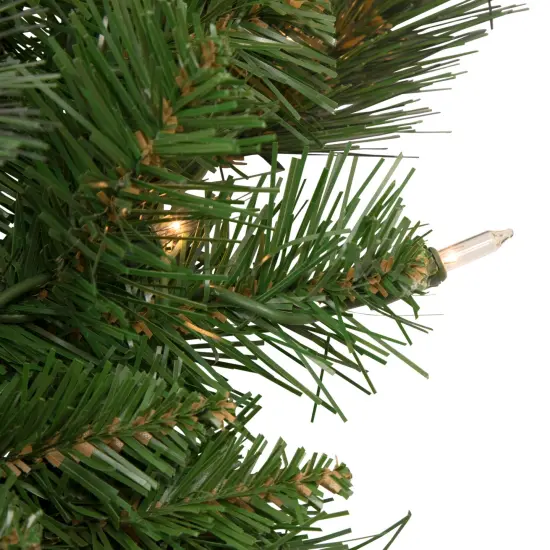 Northlight Mixed Beaver Pine Artificial Christmas Wreath - 24" - Clear Lights Green {3}