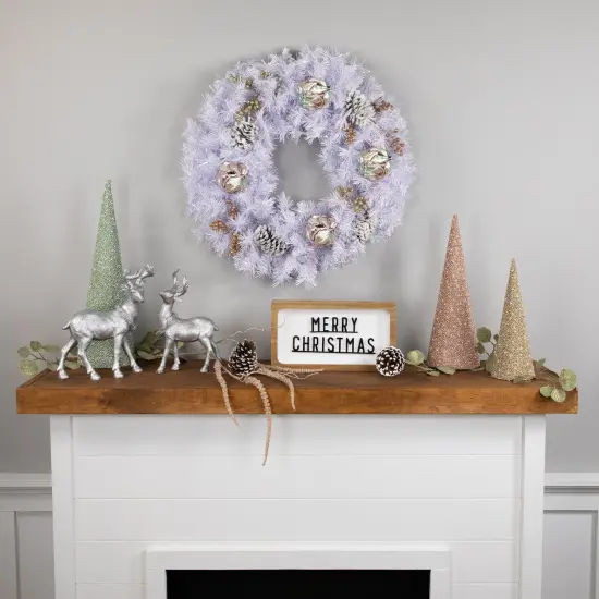 Northlight Icy White Iridescent Spruce Artificial Christmas Wreath, 24-Inch, Unlit {3}