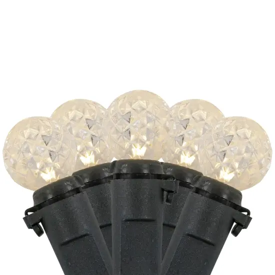 Northlight LED G12 Berry Christmas Lights - Warm White - 16' Black Wire - 50ct {1}