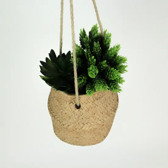 Rope Hanging Cement Planter Succulent Bowl Decorative Flower Pot Home Decor {3}