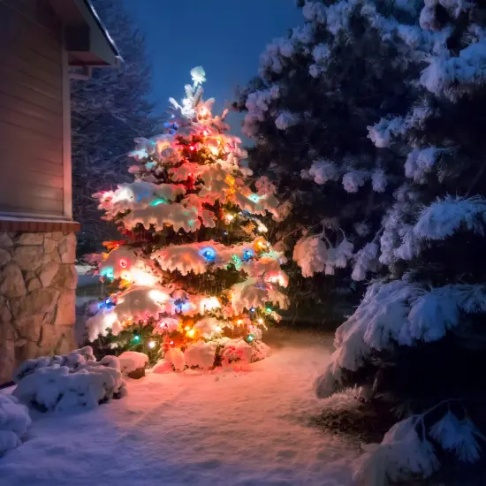 Northlight Mini Incandescent Christmas Lights - Multi-color - 61' Green Wire - 300ct {1}