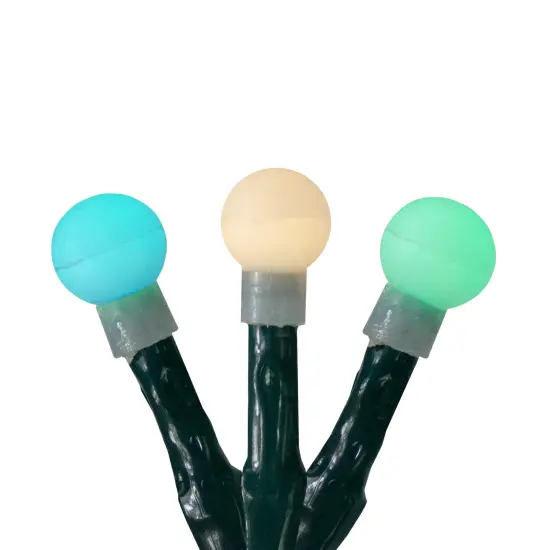 Hofert LED G10 Berry Christmas Lights - Multi-Color - 16.5 ft Green Wire - 200ct {1}