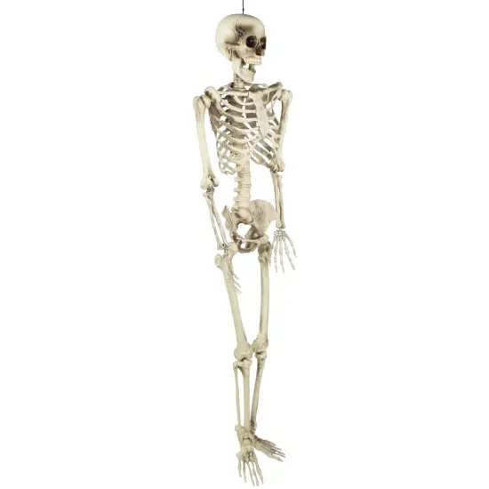 Northlight Life Size Skeleton Halloween Hanging Decoration - 5' Ivory {5}