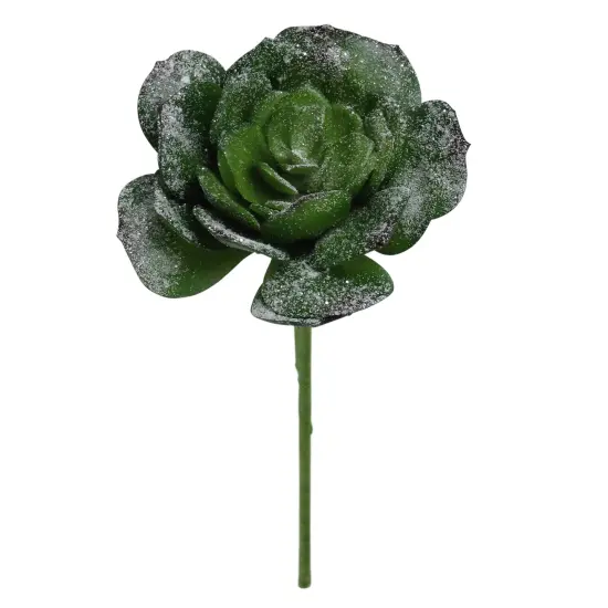 Allstate Frosted Echeveria Succulent Artificial Christmas Pick Spray - 10" - Green {1}
