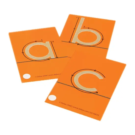 Tactile Sandpaper Lowercase Letters {2}