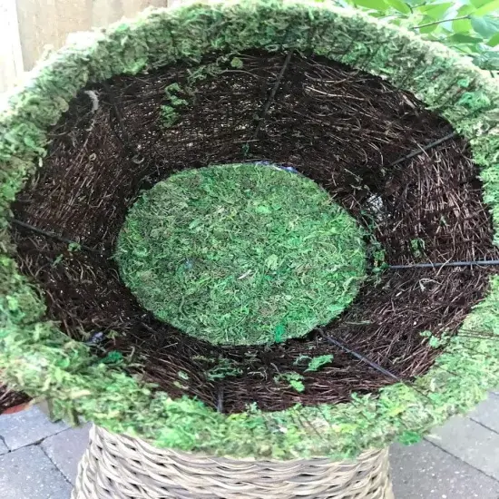 Watering Can PLANTER - Natural MOSS & Wicker {5}